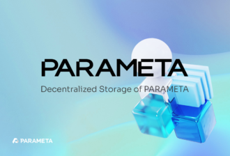 Decentralized Storage in the Parameta Framework